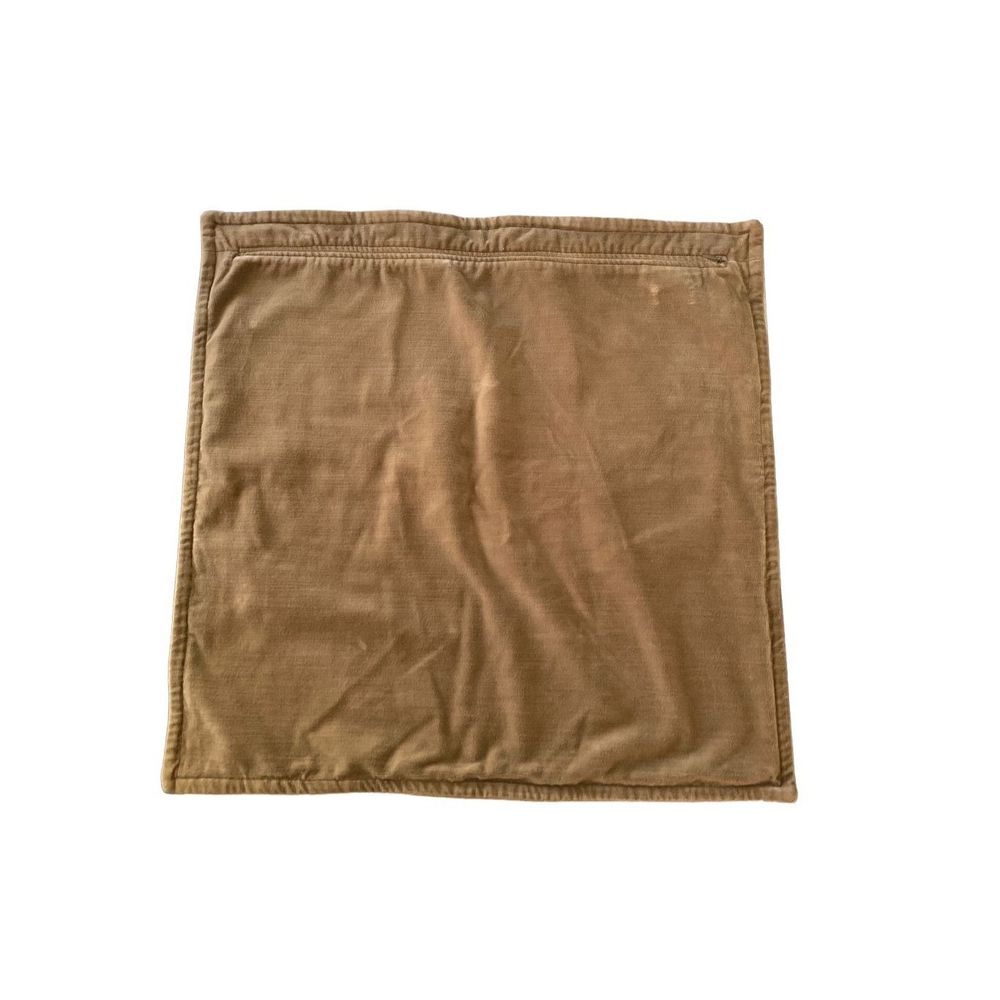 Set of 2 Pottery Barn Washed Velvet Pillow Covers